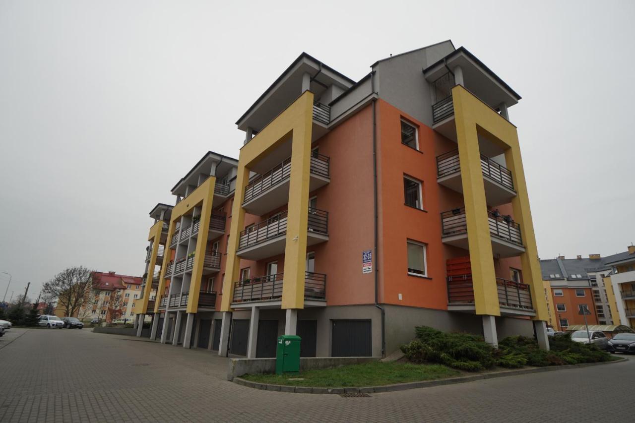 Platinum * Malbork